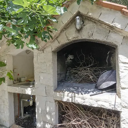 Mirko * 特罗吉尔